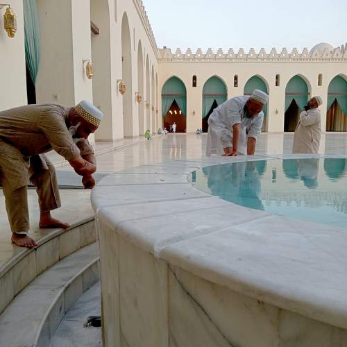 Photo #10656546