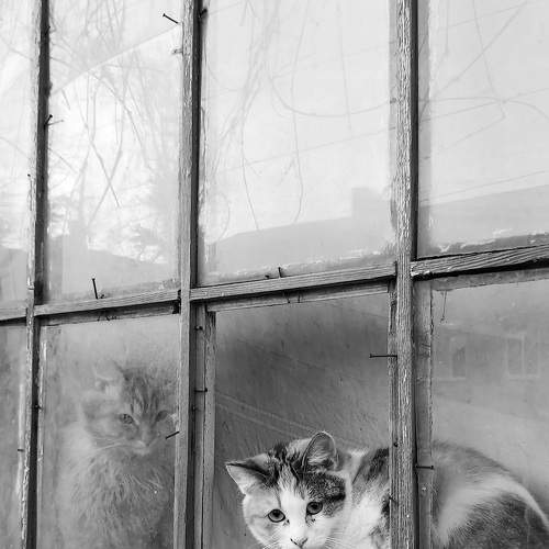 Photo #10656622