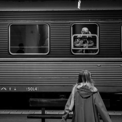 Photo #10656686