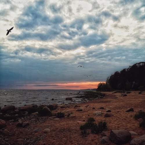 Photo #10656738