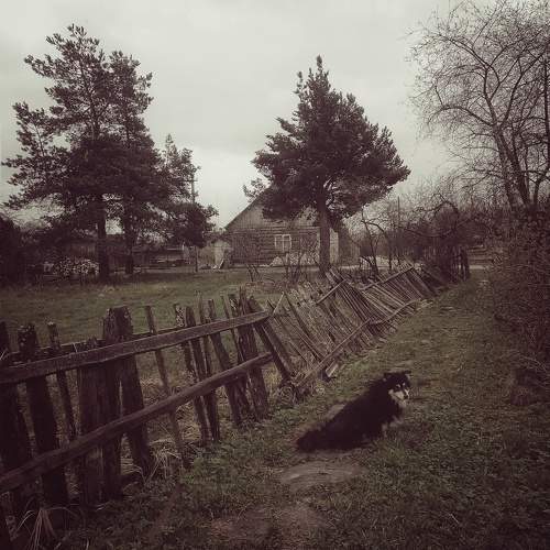 Photo #10656742