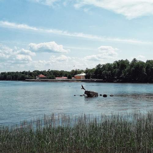 Photo #10656753
