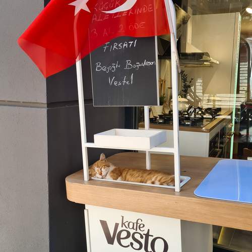 Photo #10656926