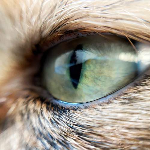 Photo #10657010