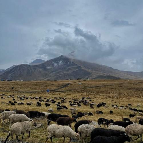 Photo #10657012
