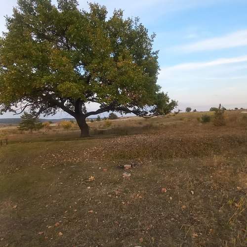 Photo #10657143