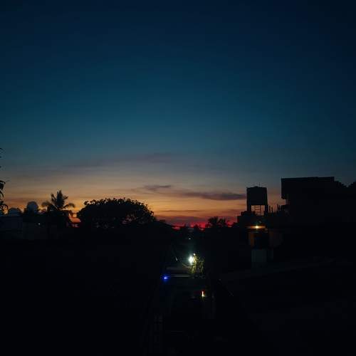 Photo #10657294