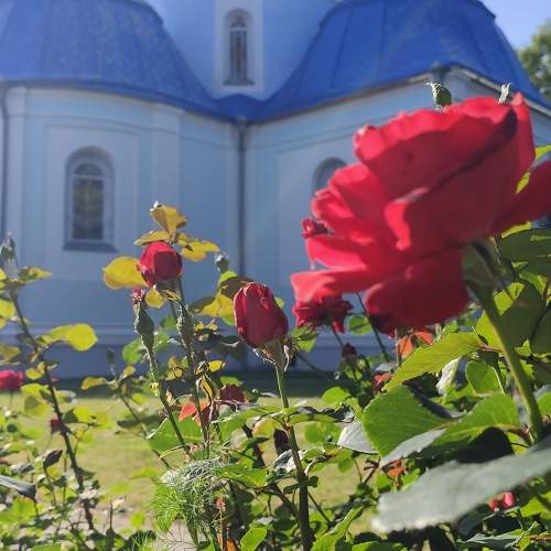 Photo #10657332