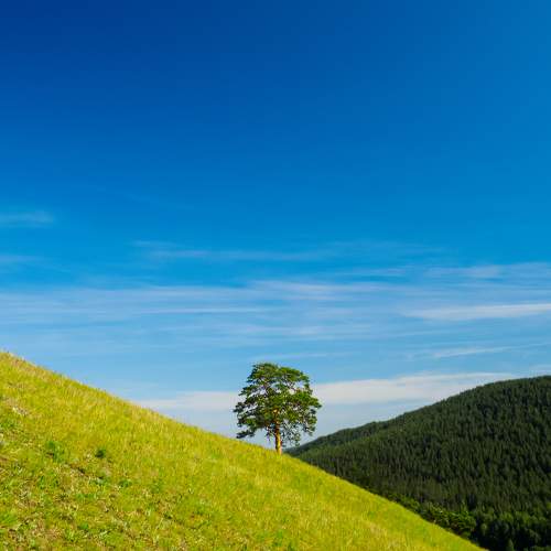 Photo #10657438