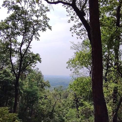 Photo #10657695
