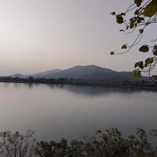 Photo #10657701