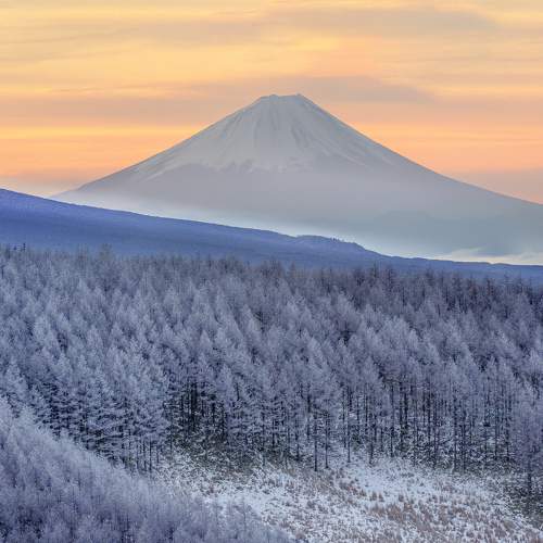 Photo #10657703