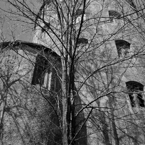 Photo #10657721