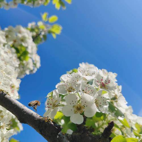 Photo #10657878