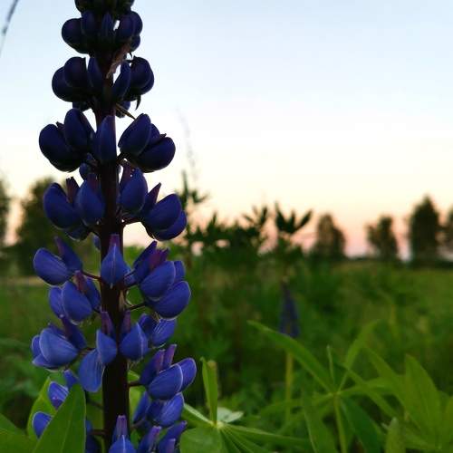 Photo #10657881