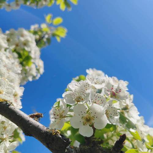 Photo #10657888