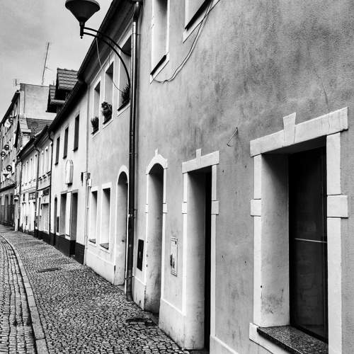 Photo #10657951