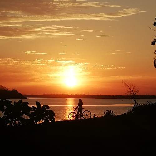 Photo #10657963