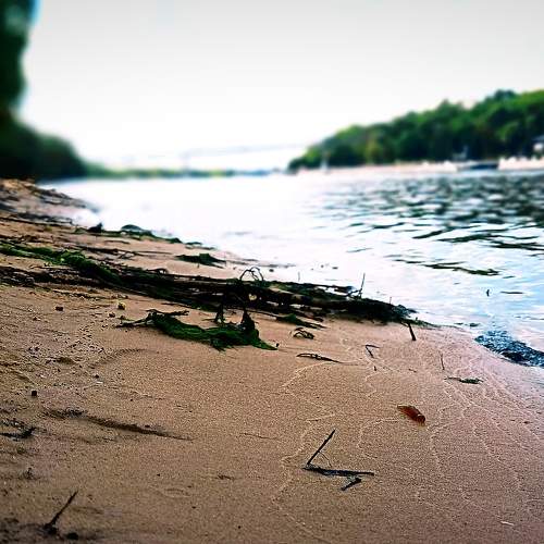 Photo #10657968