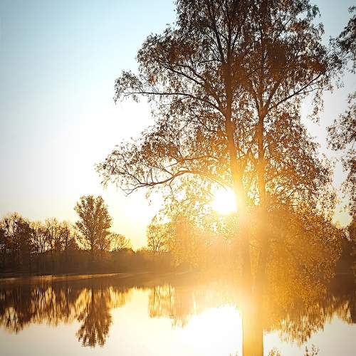 Photo #10657971