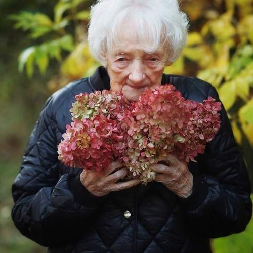 Photo #10658061