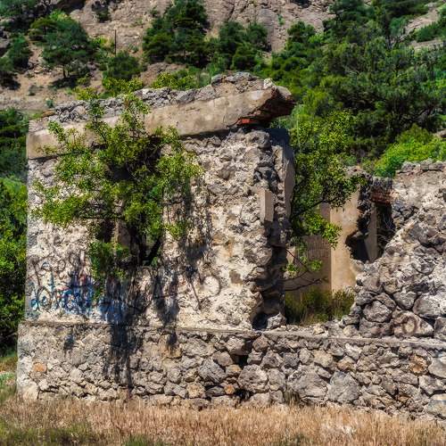 Photo #10658077