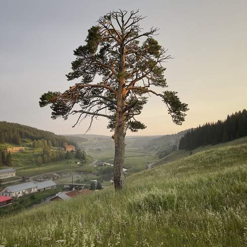 Photo #10658128