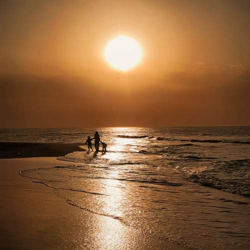 Photo #10658337