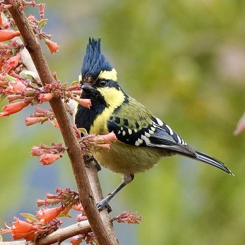 Photo #10658455