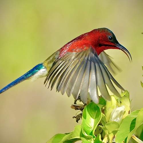 Photo #10658456