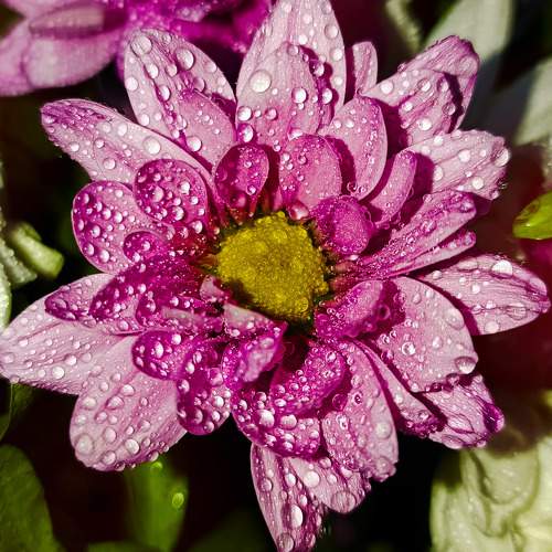 Photo #10658474