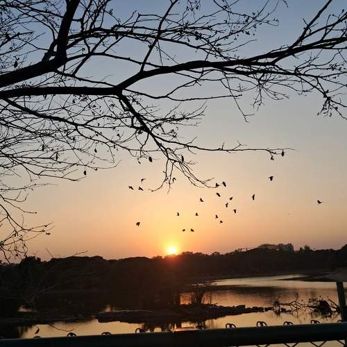 Photo #10658587
