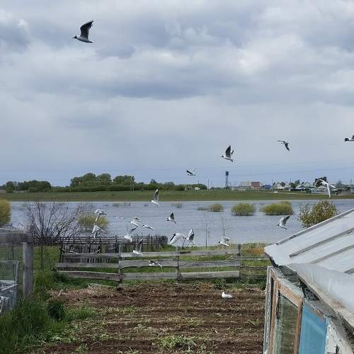 Photo #10658625