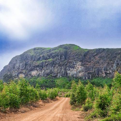 Photo #10658842