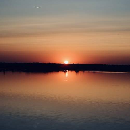 Photo #10658857