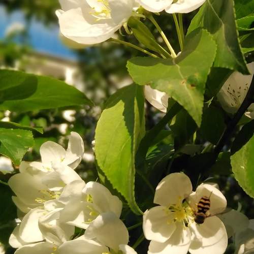 Photo #10658938