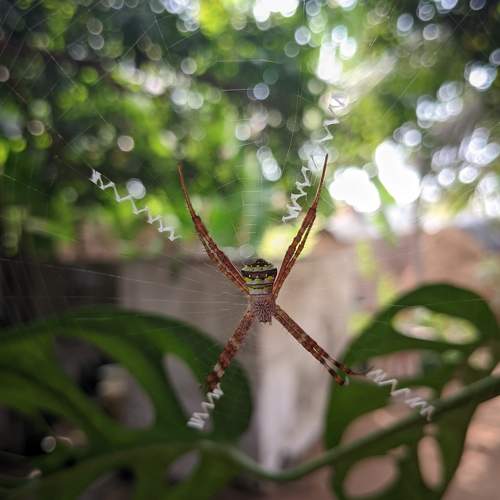 Photo #10658971