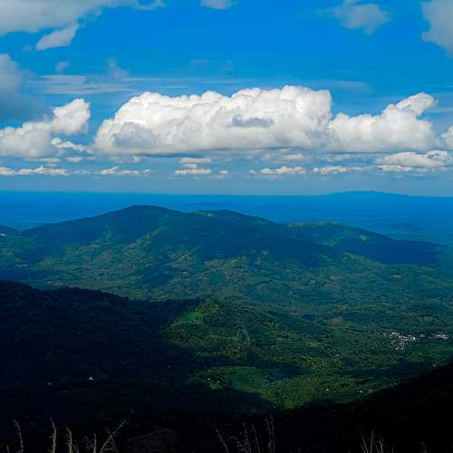 Photo #10658993
