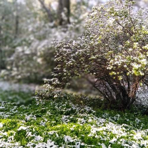 Photo #10659020