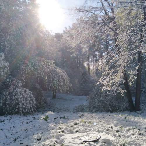 Photo #10659034