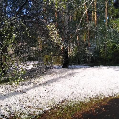Photo #10659038