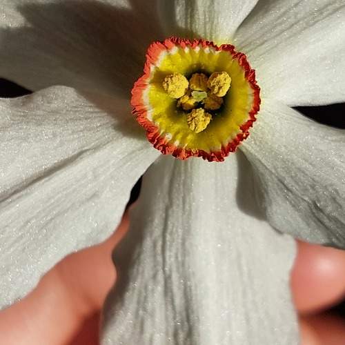 Photo #10659088