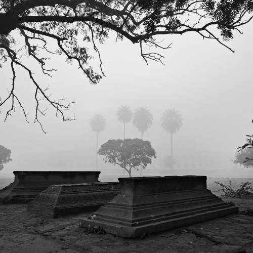 Life and Death