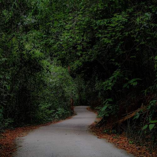 Photo #10659102