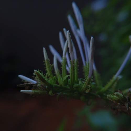 Photo #10659118