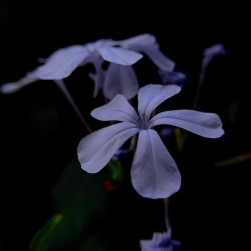 Photo #10659119