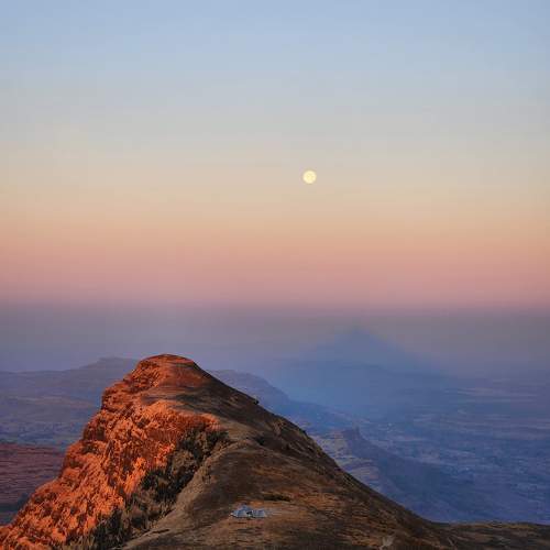 Photo #10659172