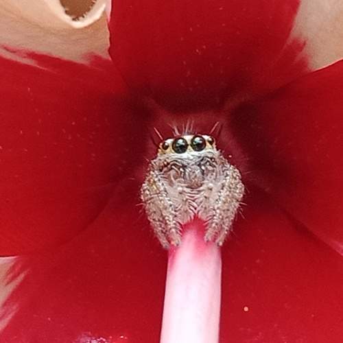 Photo #10659269