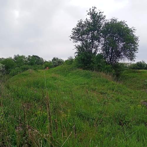 Photo #10659313