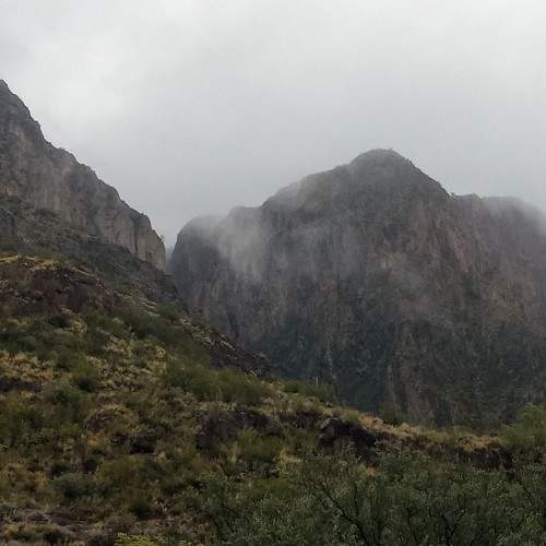 Photo #10659321